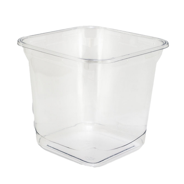 PET Square Containers 24oz
