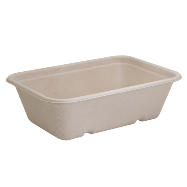 Sugarcane Takeaway Container