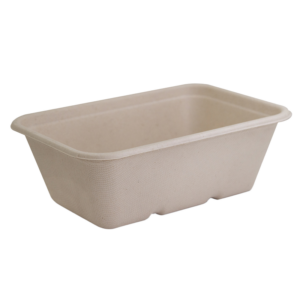 Sugarcane Takeaway Container