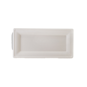 Sugarcane Rectangular Plates 10"x5"