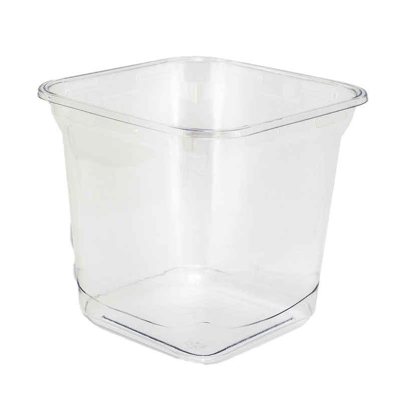 PET Square Containers 24oz