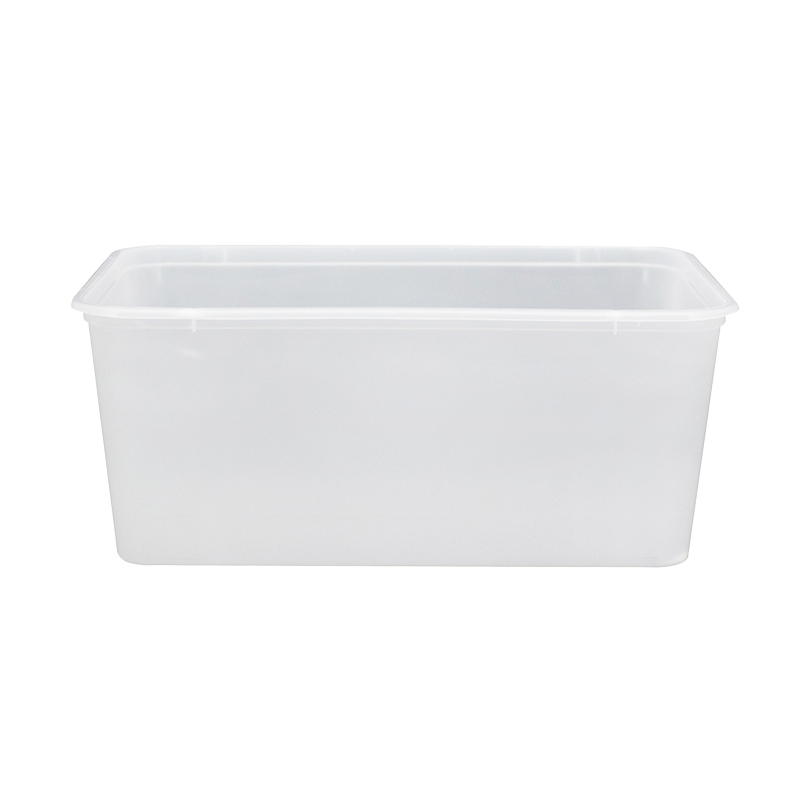 Chanrol 1000ml Rectangular Freezer Container
