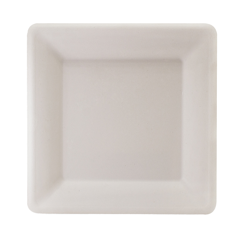 Sugarcane Square Plates 10"
