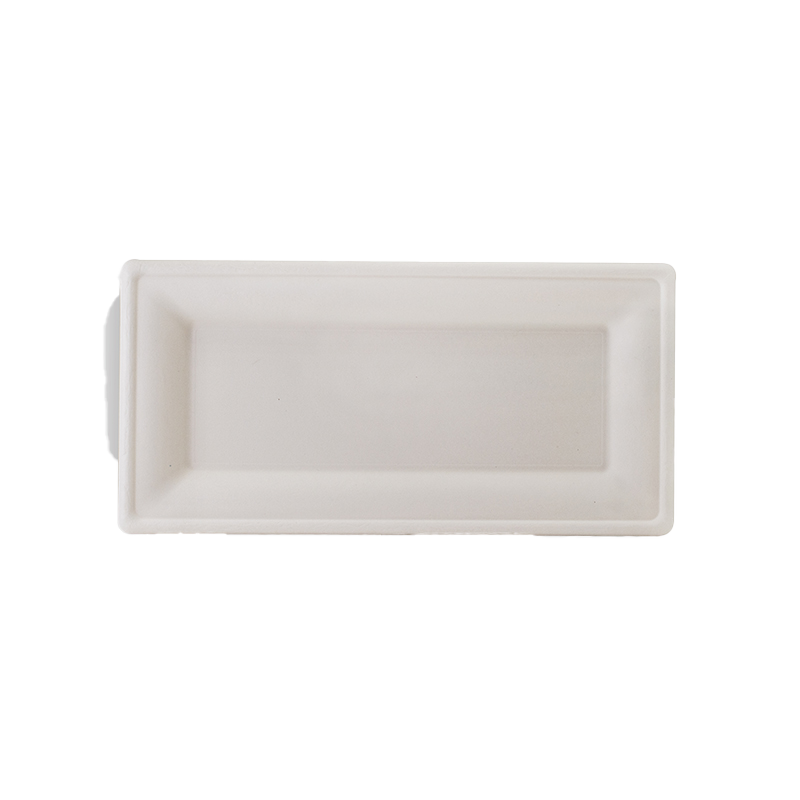 Sugarcane Rectangular Plates 10"x5"
