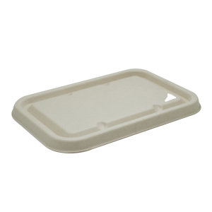 Sugarcane Takeaway Container