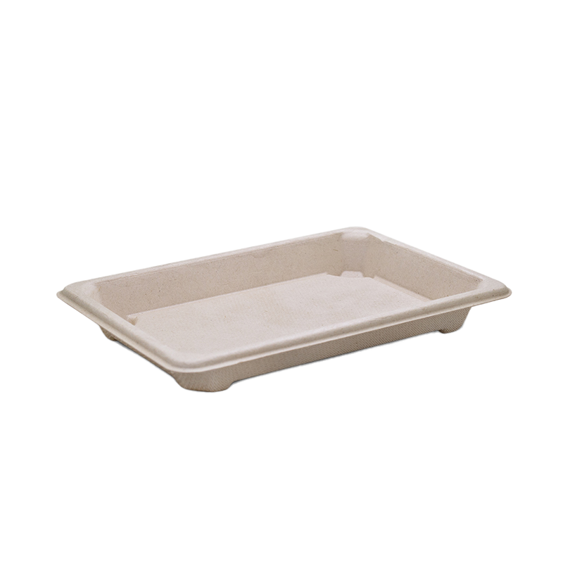 Sugarcane Sushi Trays Natural Medium