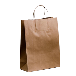 Brown Twisted Handle Paper Bags