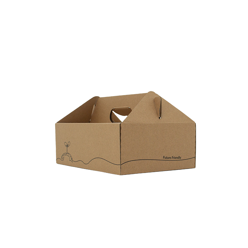 Small Kraft Corrugated Carry Box