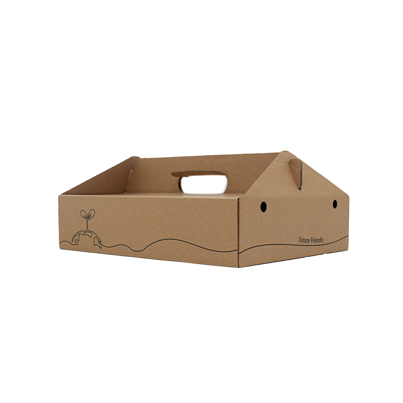 Large Kraft Corrugated Carry Box