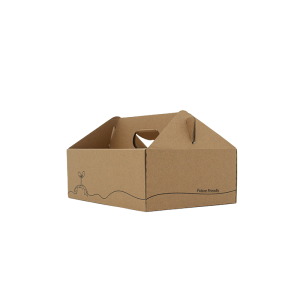 Small Kraft Corrugated Carry Box